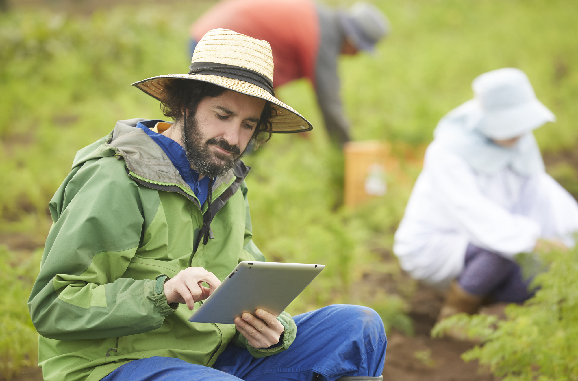 特定技能制度とは？1号・2号の違いと受け入れ企業が押さえる実務ポイント